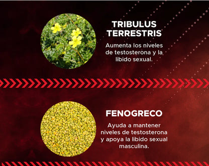 TestoGen Ultra